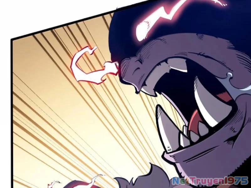 Ta Nhặt Rác Thượng Vương Giả Chapter 62 - Trang 2