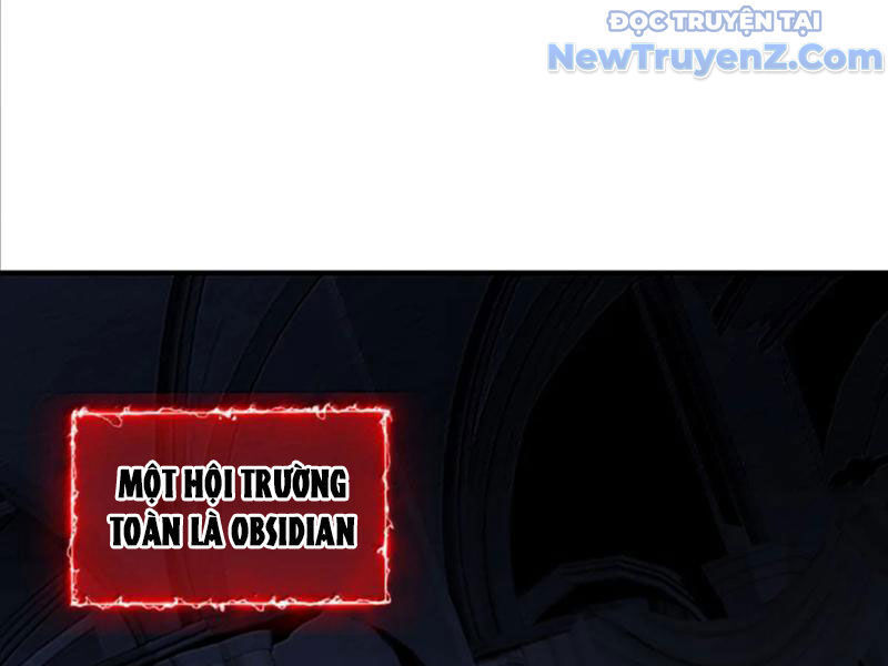 Ta Dựa Vào Nhặt Rác Trở Thành Vương Giả Chapter 67 - Trang 2