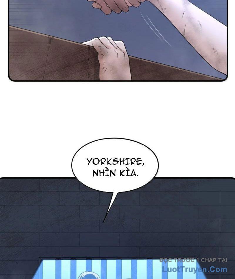 Luyện Kim Thuật Sĩ Tà Ác Không Trị Nổi Thể Thí Nghiệm Của Mình Chapter 56 - Trang 2