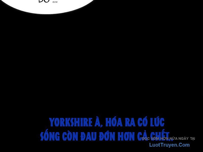 Luyện Kim Thuật Sĩ Tà Ác Không Trị Nổi Thể Thí Nghiệm Của Mình Chapter 57 - Trang 2