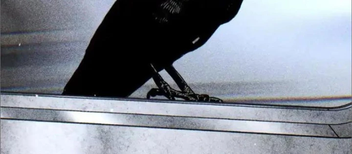 Trò Chơi Vô Vọng Chapter 16 - Trang 2