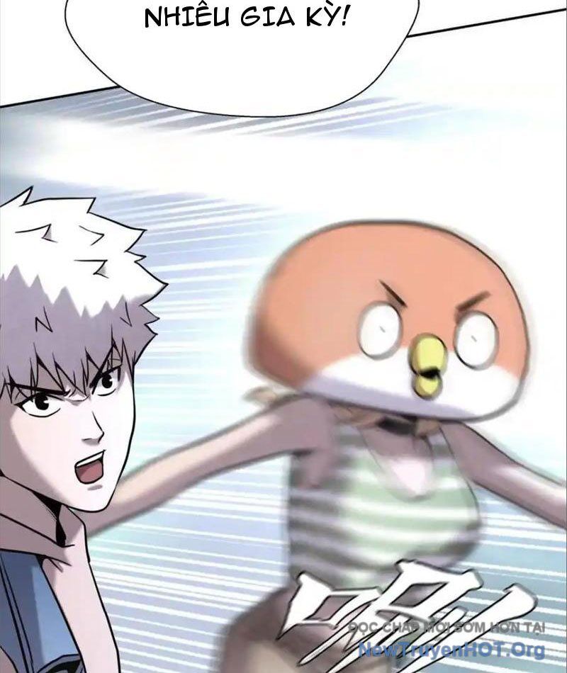 Trò Chơi Vô Vọng Chapter 17 - Trang 2