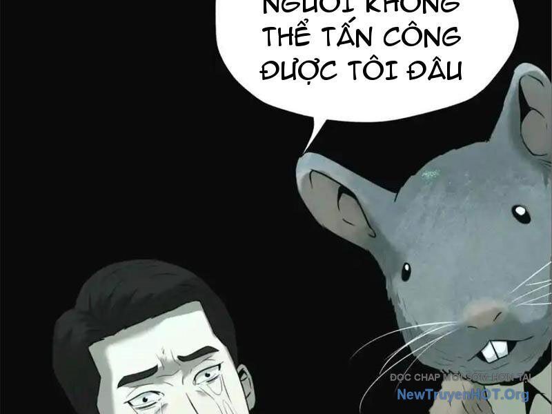 Trò Chơi Vô Vọng Chapter 19 - Trang 2