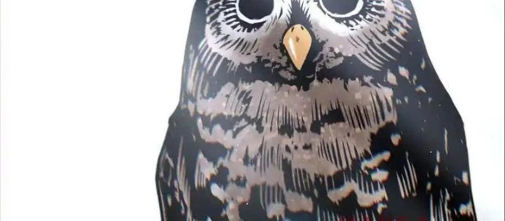 Trò Chơi Vô Vọng Chapter 24 - Trang 2