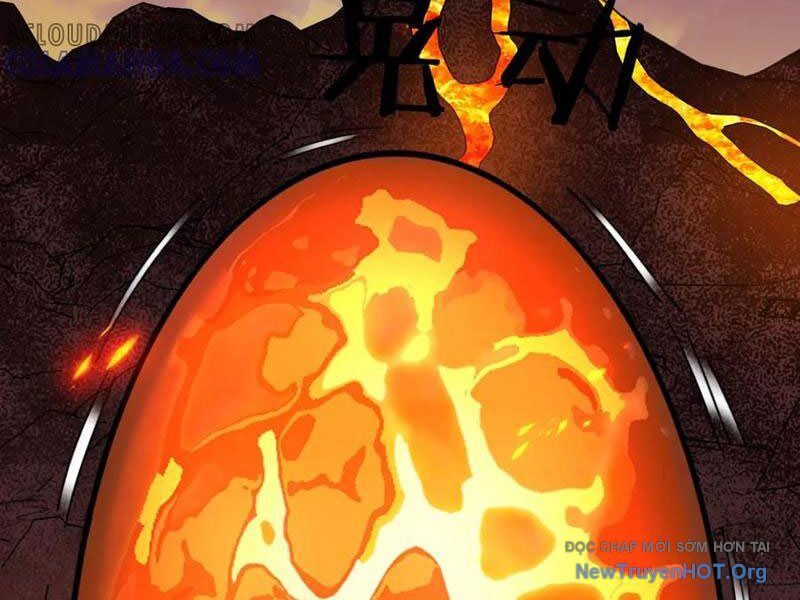 Bắt Đầu Chuyển Chức Tài Thần, Ta Chuyển Hóa Triệu Vạn Thần Sủng Chapter 31 - Trang 2