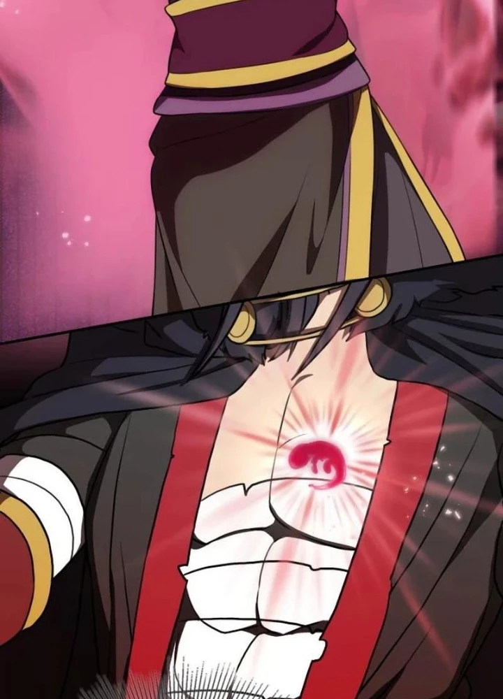 Có Lẽ Là Vô Địch Chapter 25 - Trang 2