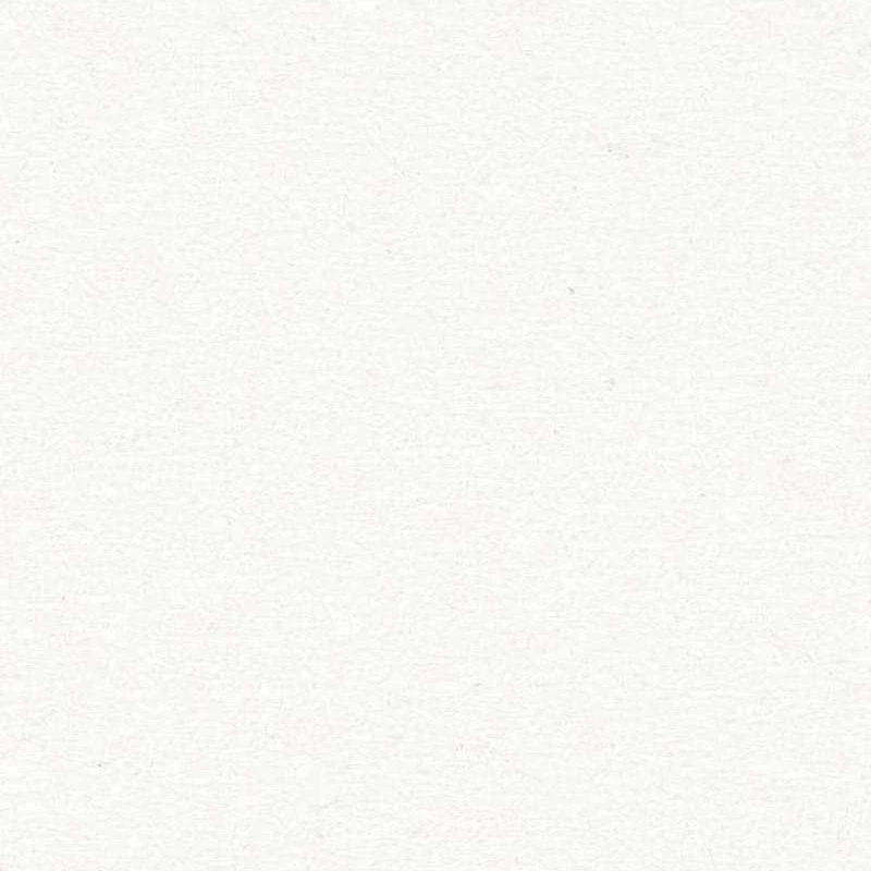 Có Lẽ Là Vô Địch Chapter 27 - Trang 2