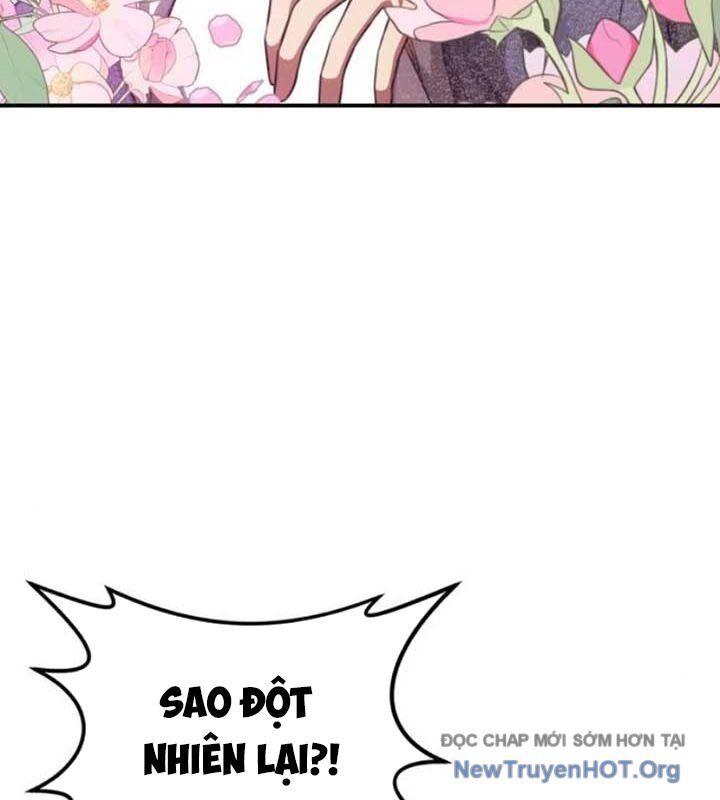 Có Lẽ Là Vô Địch Chapter 33 - Trang 2