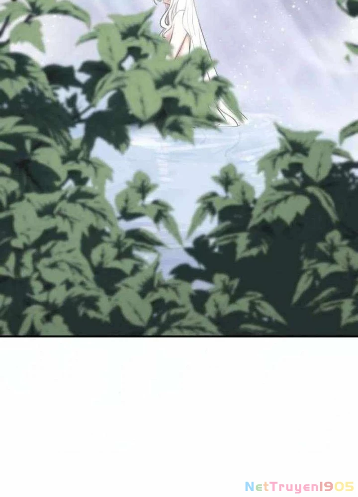 Có Lẽ Là Vô Địch Chapter 39 - Trang 2