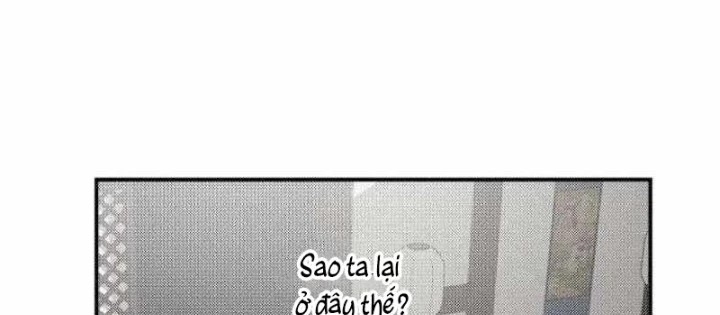 Có Lẽ Là Vô Địch Chapter 39 - Trang 2