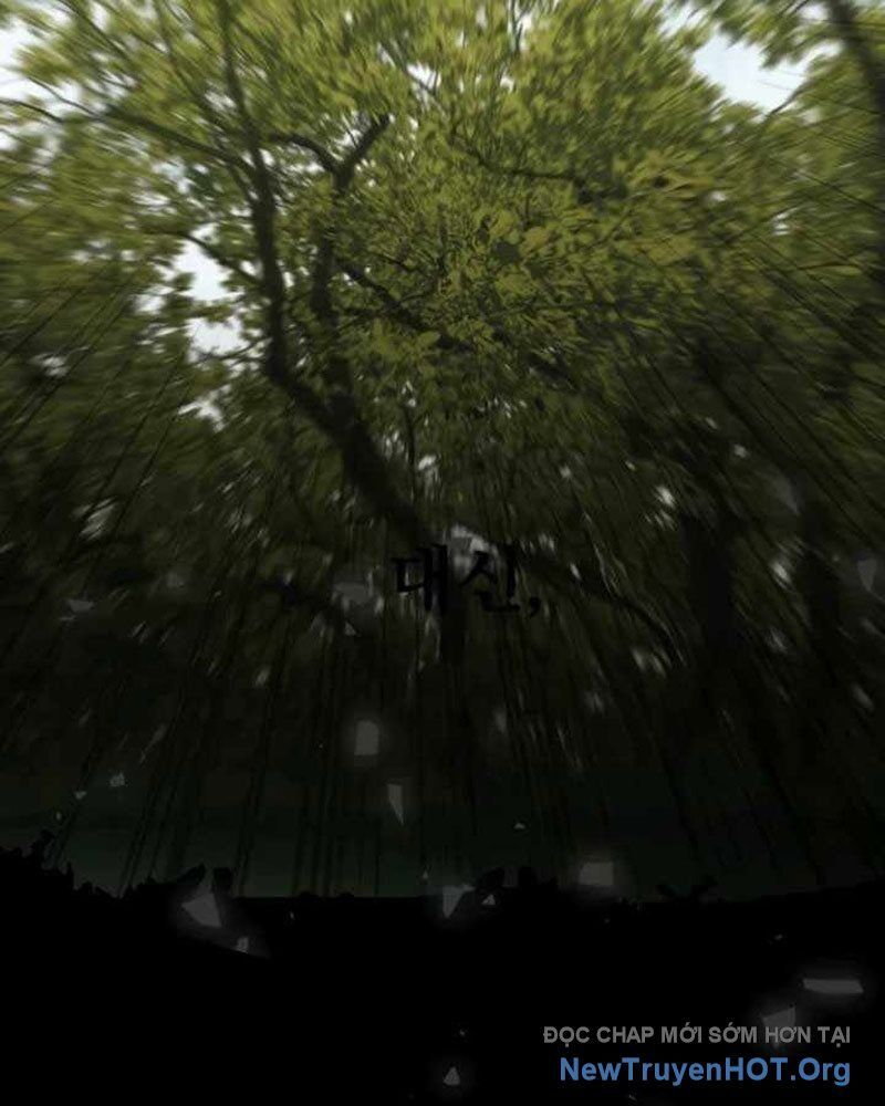 Có Lẽ Là Vô Địch Chapter 41 - Trang 2