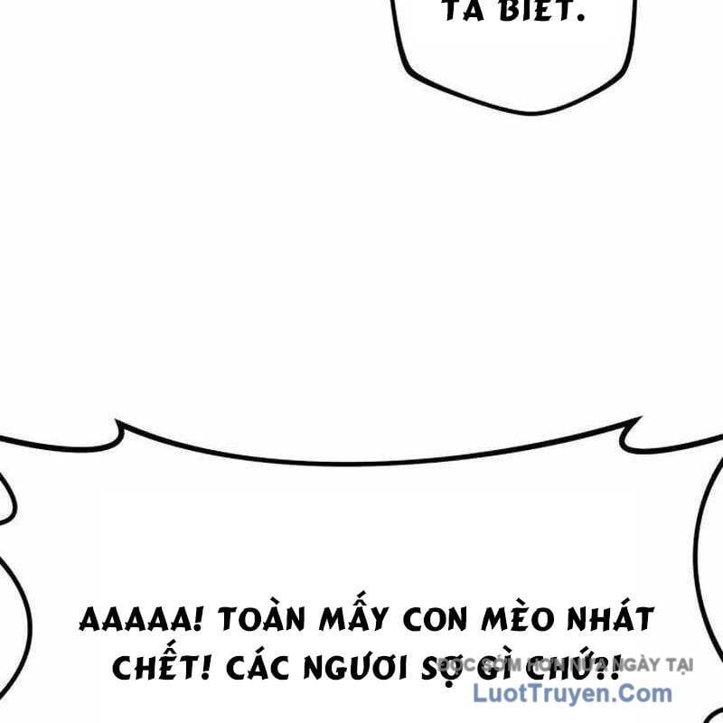 Có Lẽ Là Vô Địch Chapter 46 - Trang 2