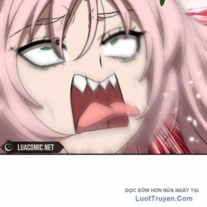 Có Lẽ Là Vô Địch Chapter 47 - Trang 2