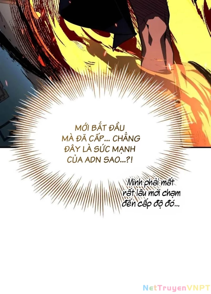 Kim Chiến Sĩ: Hành Trình Xây Dựng Đặc Tính Chapter 34 - Trang 2