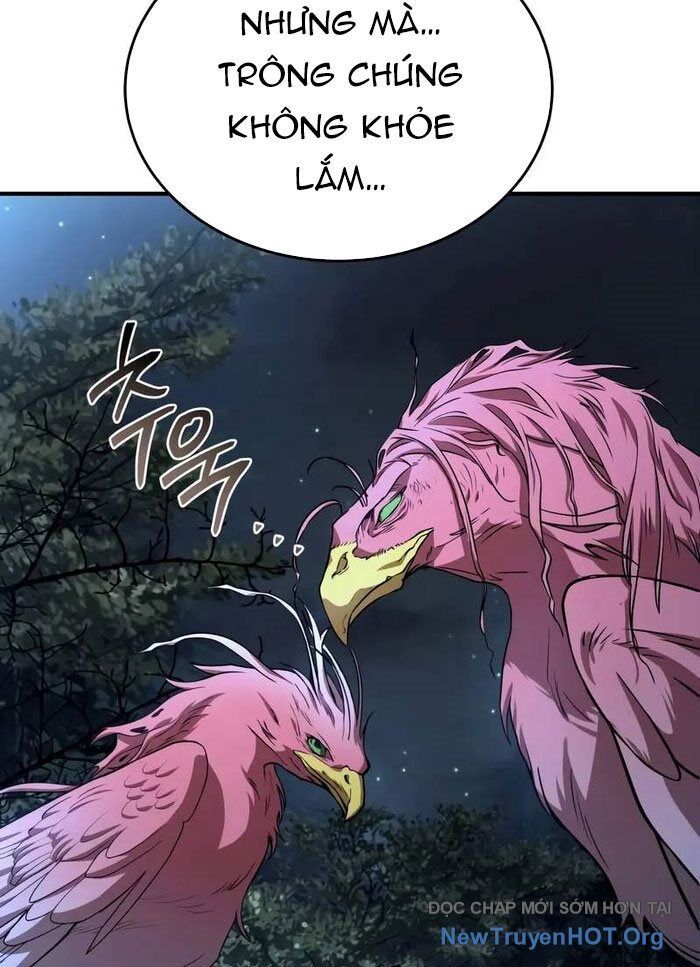Kim Chiến Sĩ: Hành Trình Xây Dựng Đặc Tính Chapter 50 - Trang 2