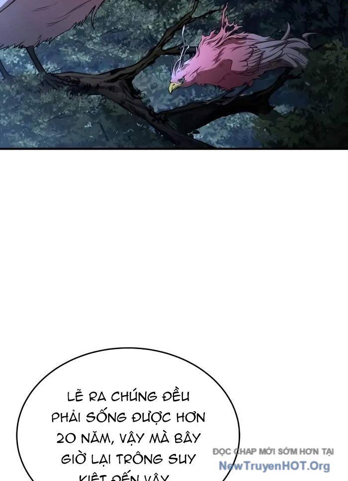 Kim Chiến Sĩ: Hành Trình Xây Dựng Đặc Tính Chapter 50 - Trang 2