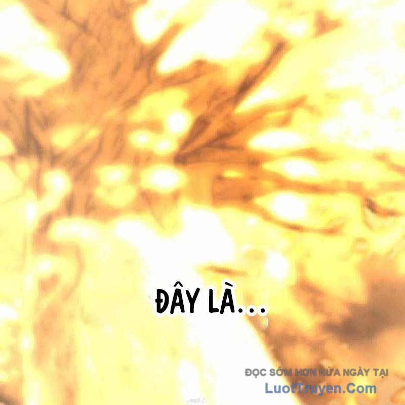 Kim Chiến Sĩ: Hành Trình Xây Dựng Đặc Tính Chapter 57 - Trang 2