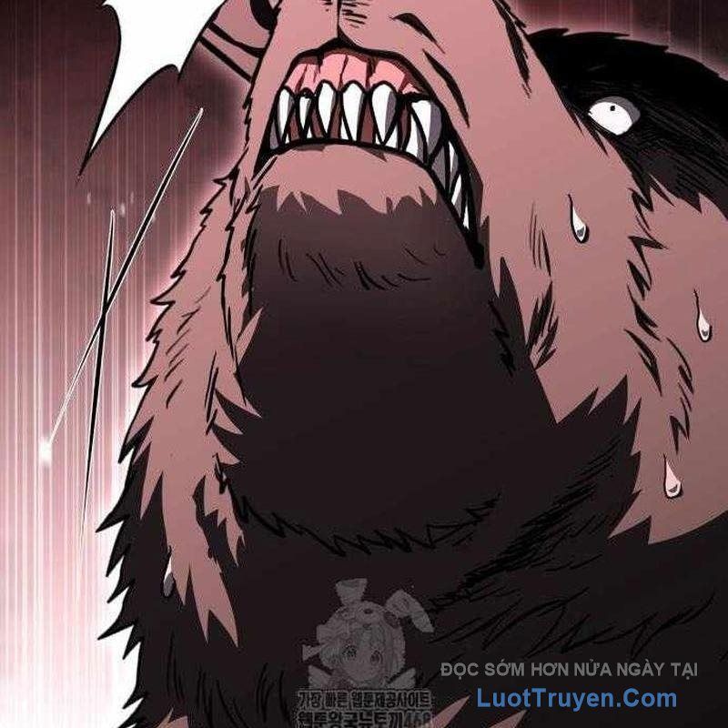 Kim Chiến Sĩ: Hành Trình Xây Dựng Đặc Tính Chapter 57 - Trang 2