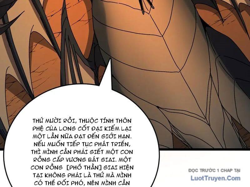 Bắt Đầu Kế Nhiệm Boss Hắc Long, Ta Vô Địch Chapter 81 - Trang 2