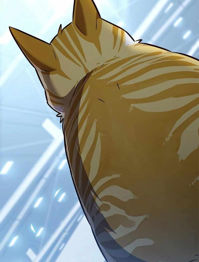 Hoá Thân Thành Mèo Chapter 343 - Trang 2