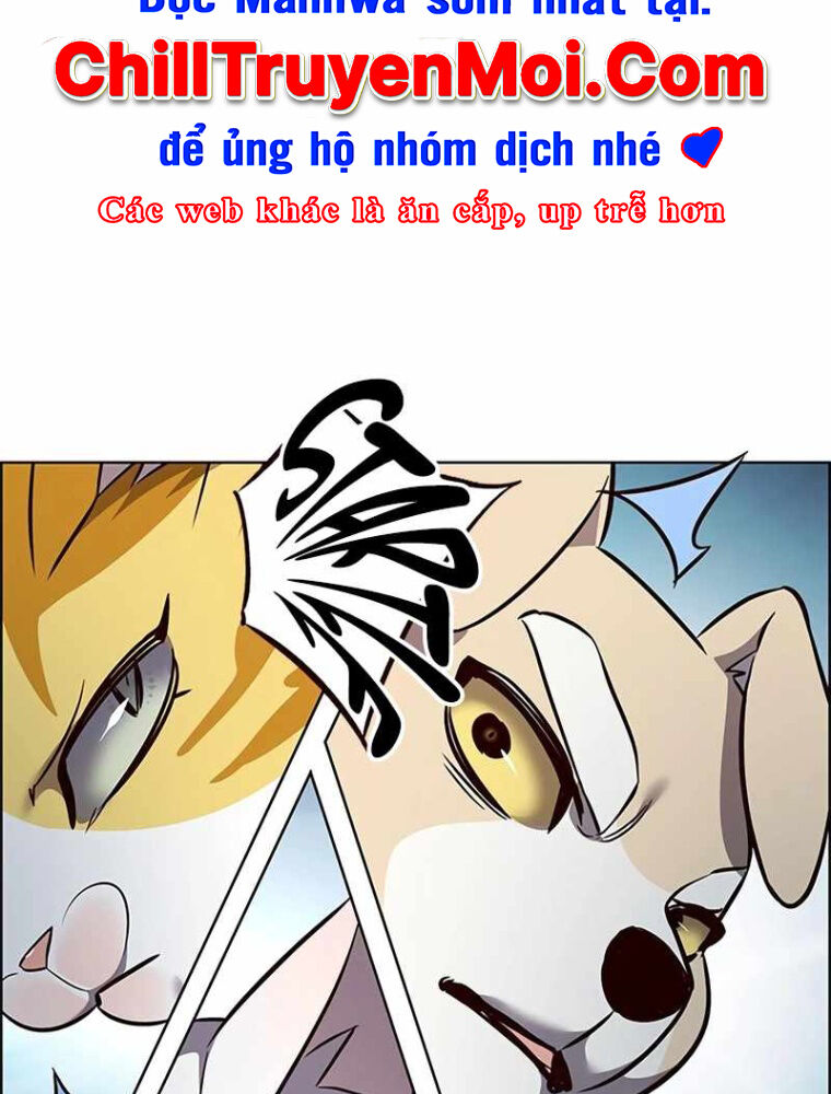 Hoá Thân Thành Mèo Chapter 343 - Trang 2