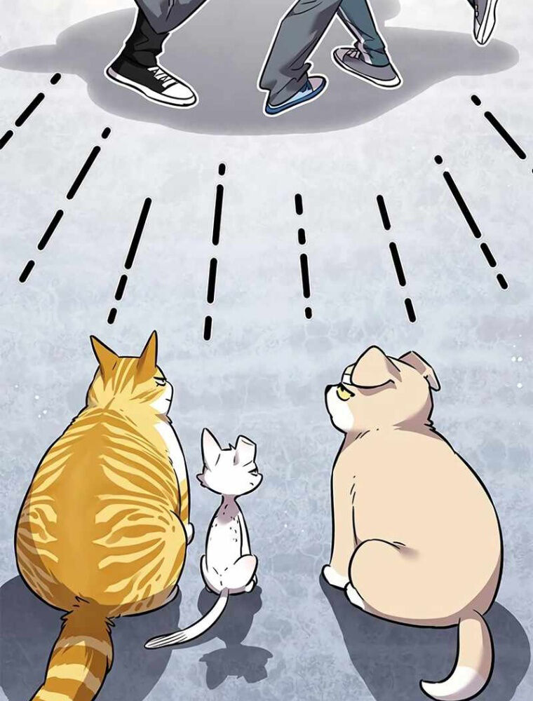 Hoá Thân Thành Mèo Chapter 343 - Trang 2