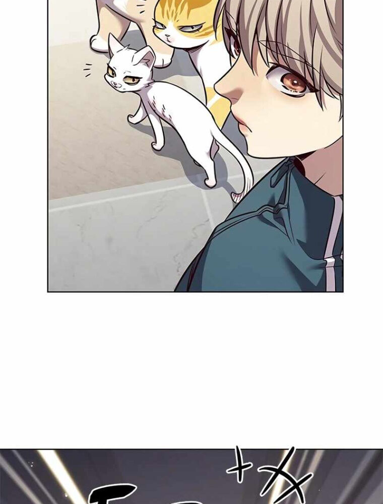Hoá Thân Thành Mèo Chapter 343 - Trang 2