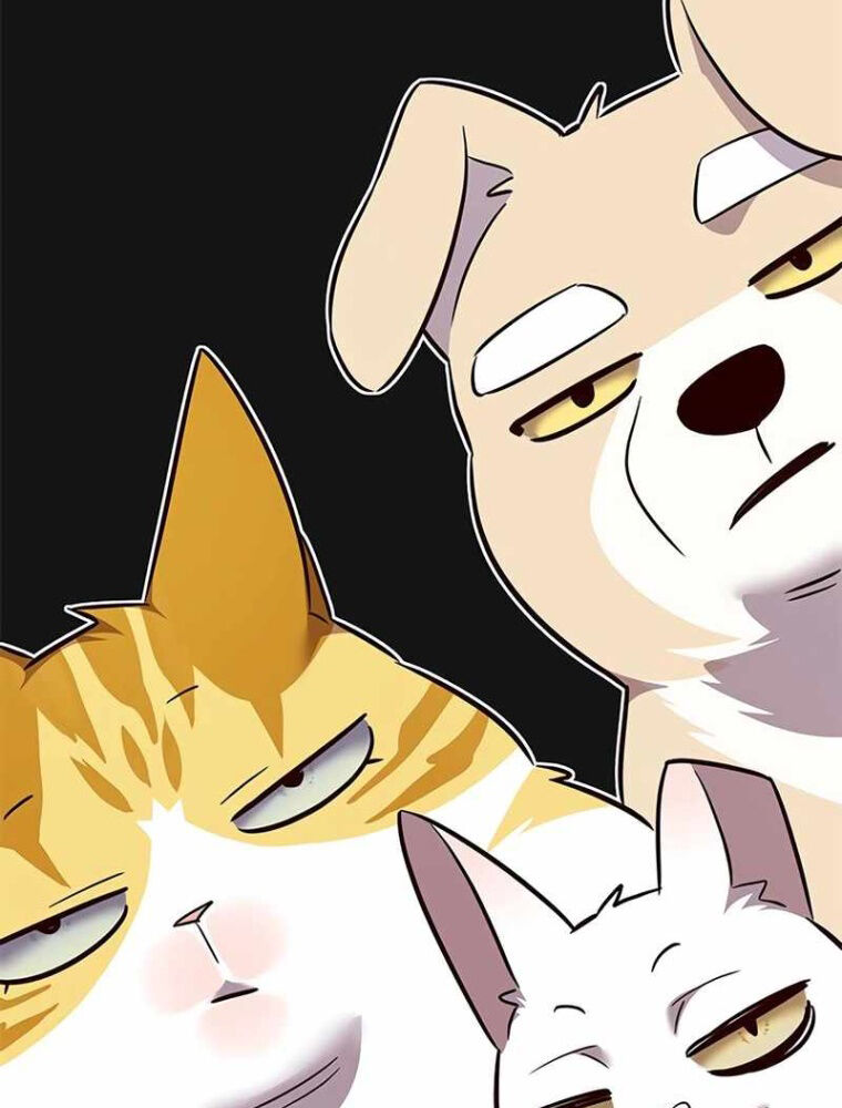 Hoá Thân Thành Mèo Chapter 343 - Trang 2