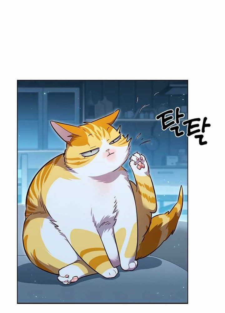 Hoá Thân Thành Mèo Chapter 345 - Trang 2