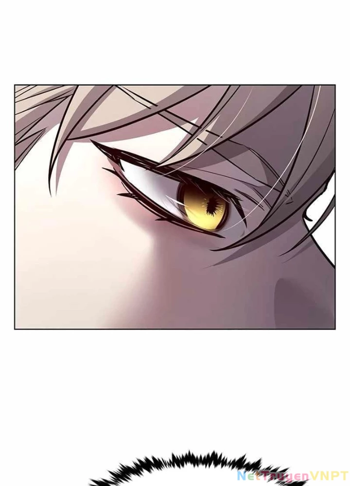 Hoá Thân Thành Mèo Chapter 346 - Trang 2