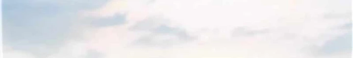 Hoá Thân Thành Mèo Chapter 347 - Trang 2