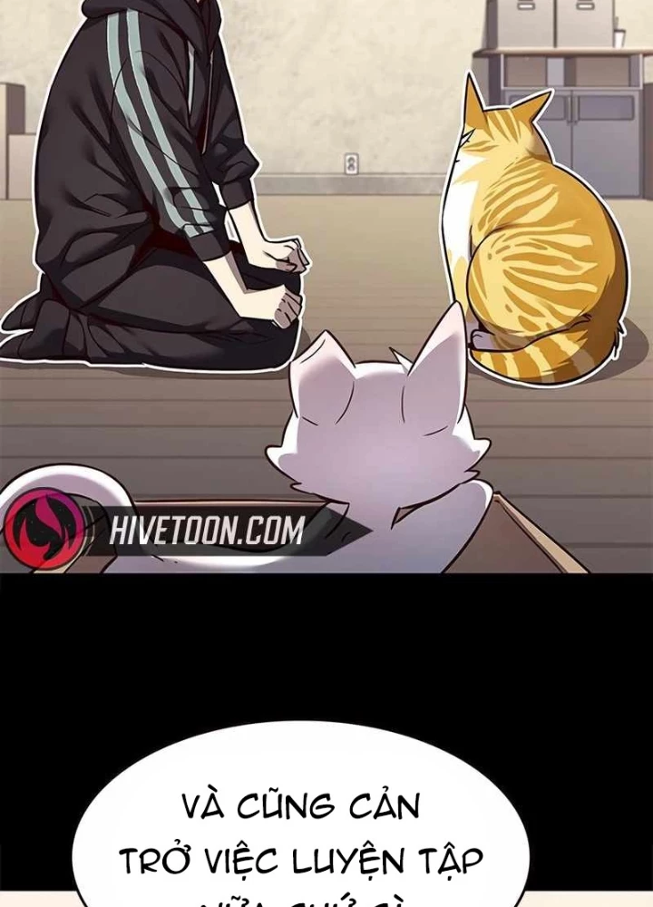 Hoá Thân Thành Mèo Chapter 347 - Trang 2