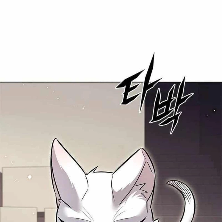 Hoá Thân Thành Mèo Chapter 356 - Trang 2