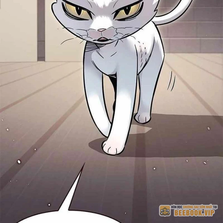Hoá Thân Thành Mèo Chapter 356 - Trang 2