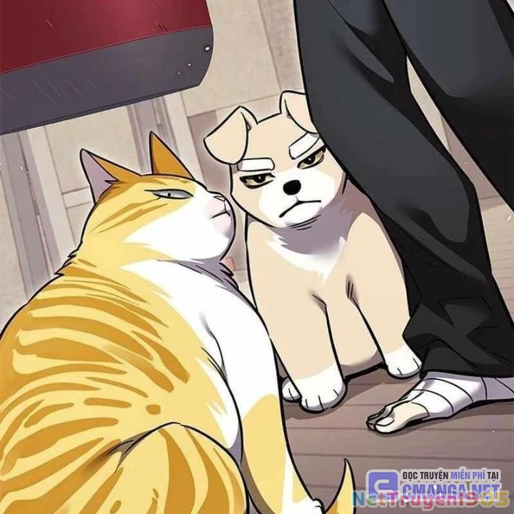 Hoá Thân Thành Mèo Chapter 356 - Trang 2