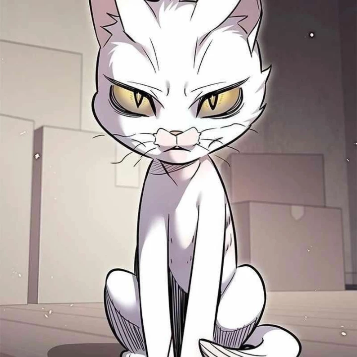 Hoá Thân Thành Mèo Chapter 356 - Trang 2