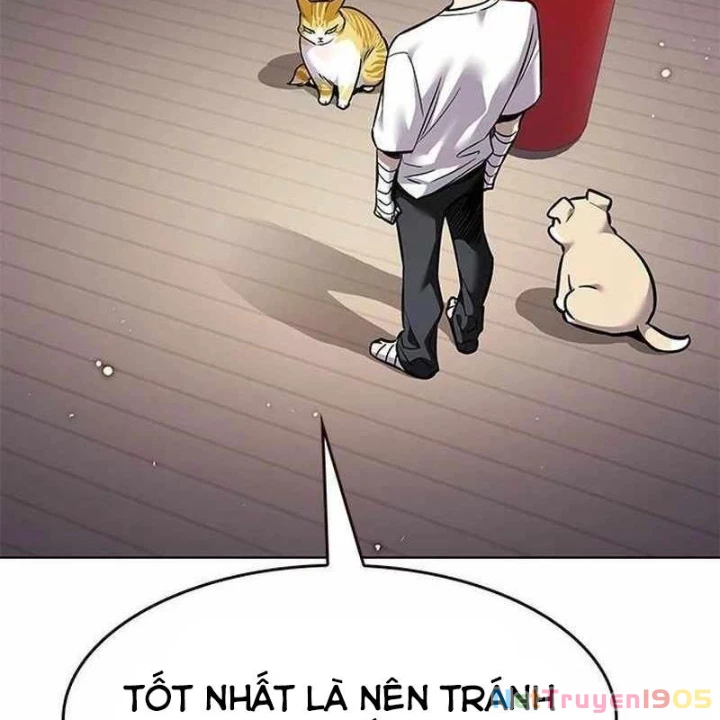 Hoá Thân Thành Mèo Chapter 356 - Trang 2