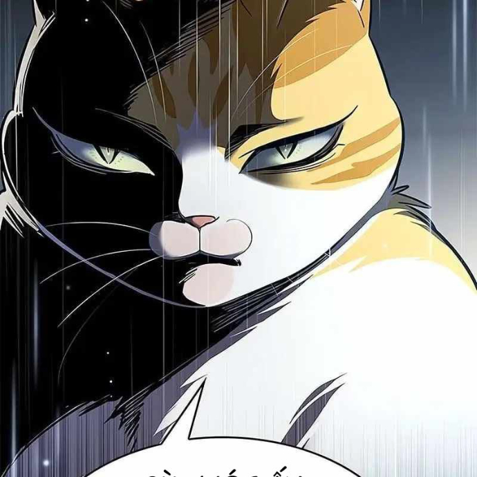 Hoá Thân Thành Mèo Chapter 357 - Trang 2