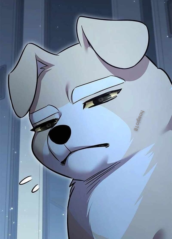Hoá Thân Thành Mèo Chapter 358 - Trang 2