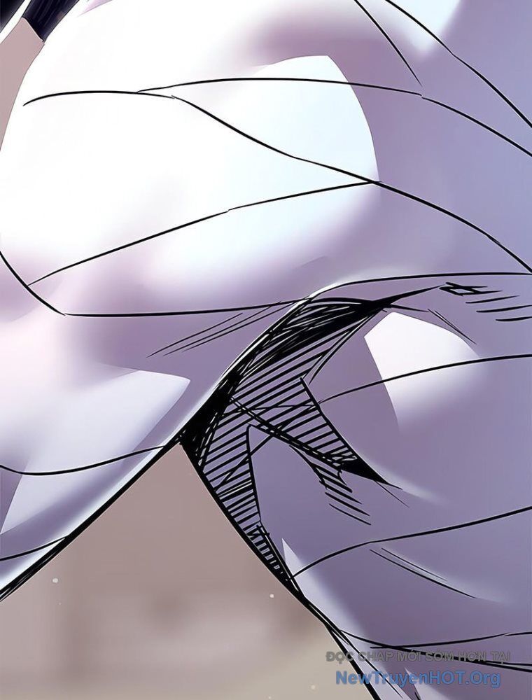 Hoá Thân Thành Mèo Chapter 362 - Trang 2
