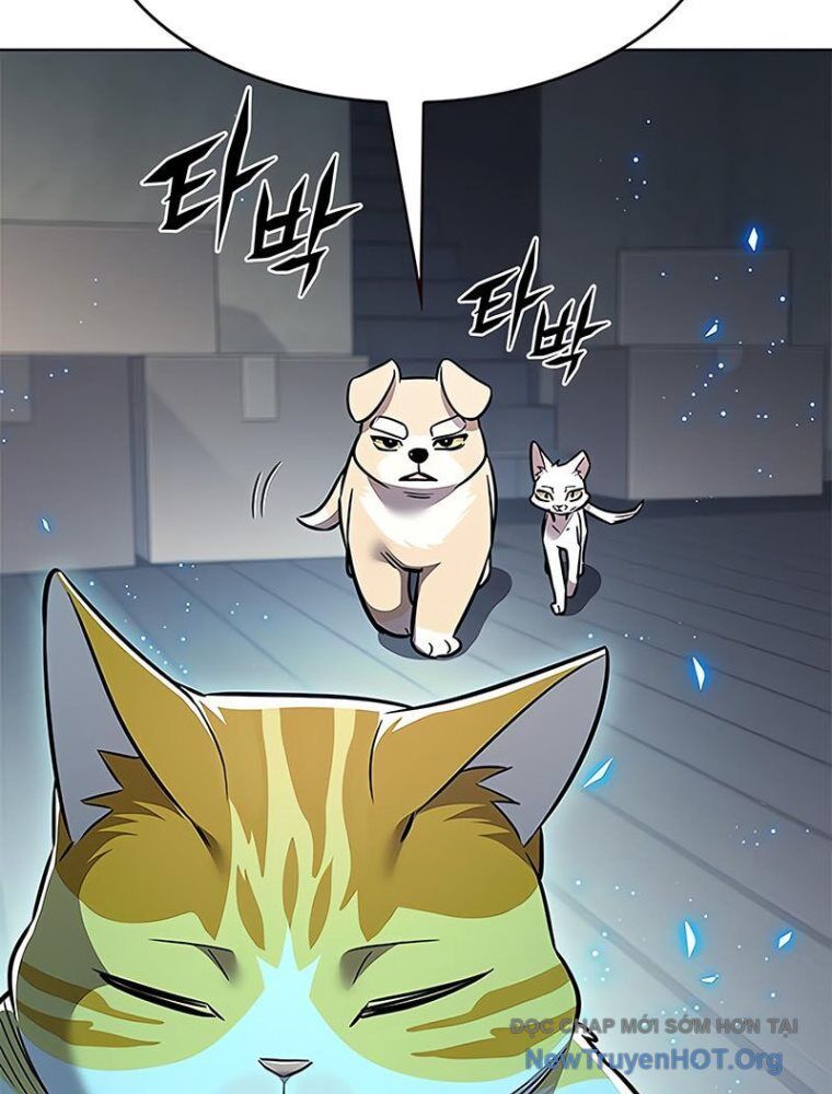 Hoá Thân Thành Mèo Chapter 362 - Trang 2