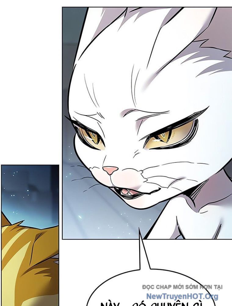 Hoá Thân Thành Mèo Chapter 362 - Trang 2