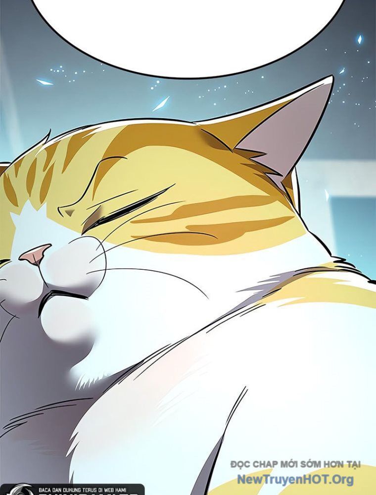 Hoá Thân Thành Mèo Chapter 362 - Trang 2