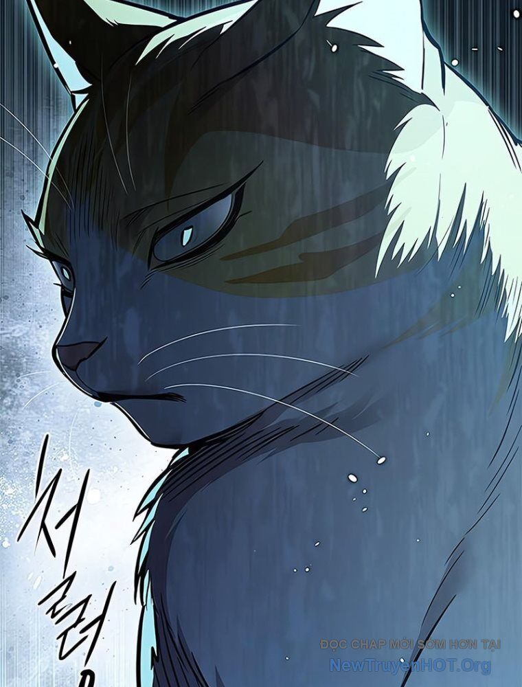Hoá Thân Thành Mèo Chapter 362 - Trang 2