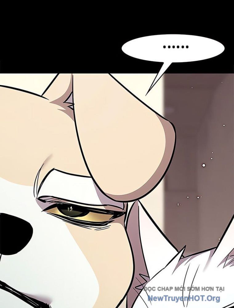Hoá Thân Thành Mèo Chapter 362 - Trang 2