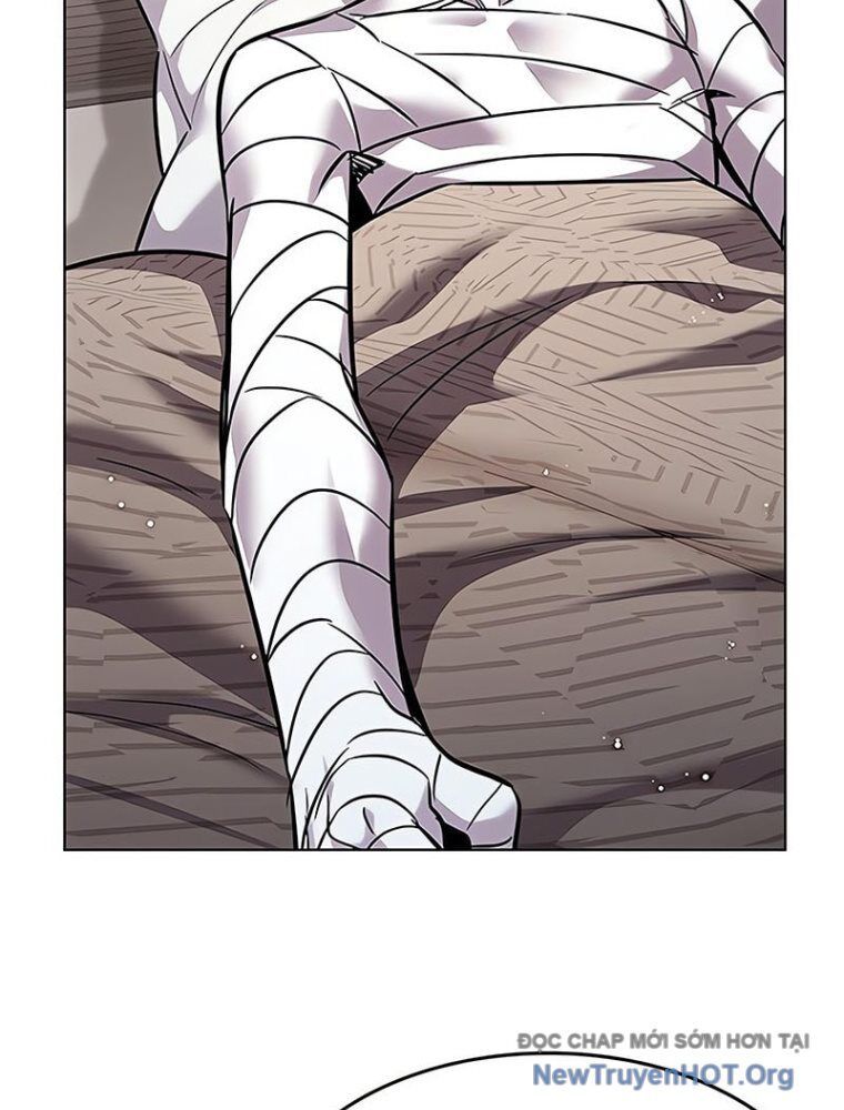 Hoá Thân Thành Mèo Chapter 362 - Trang 2