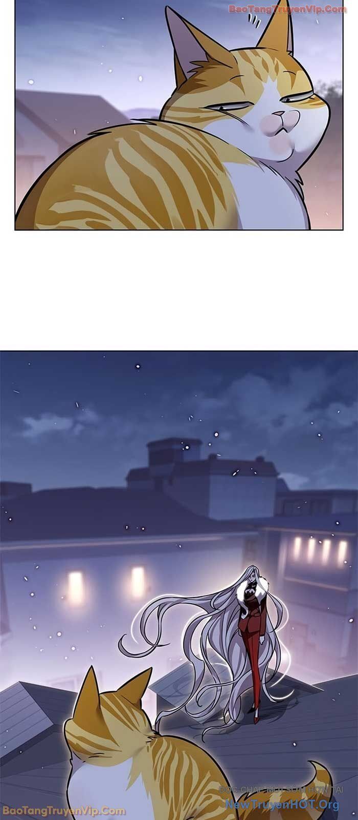 Hoá Thân Thành Mèo Chapter 364 - Trang 2