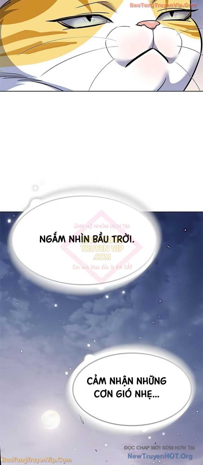 Hoá Thân Thành Mèo Chapter 364 - Trang 2