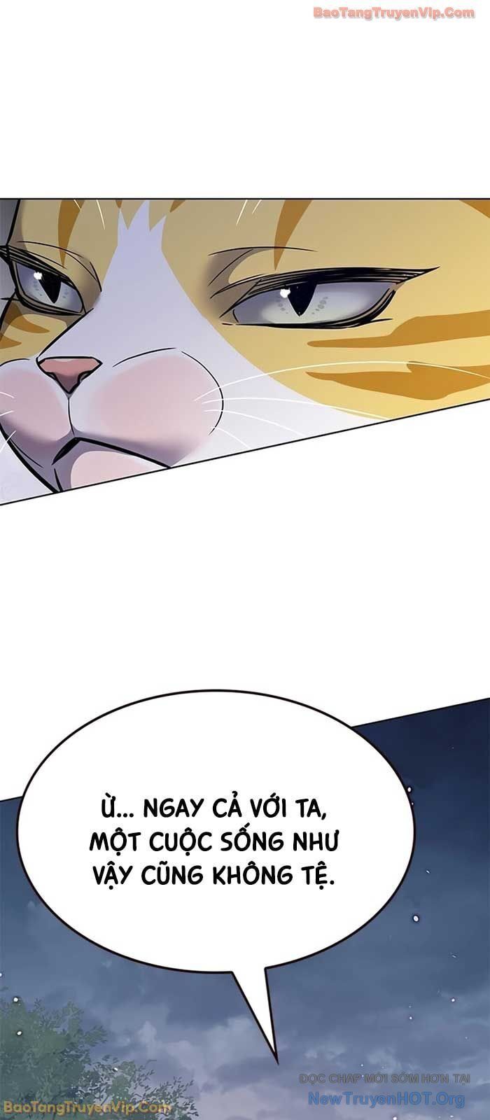 Hoá Thân Thành Mèo Chapter 364 - Trang 2