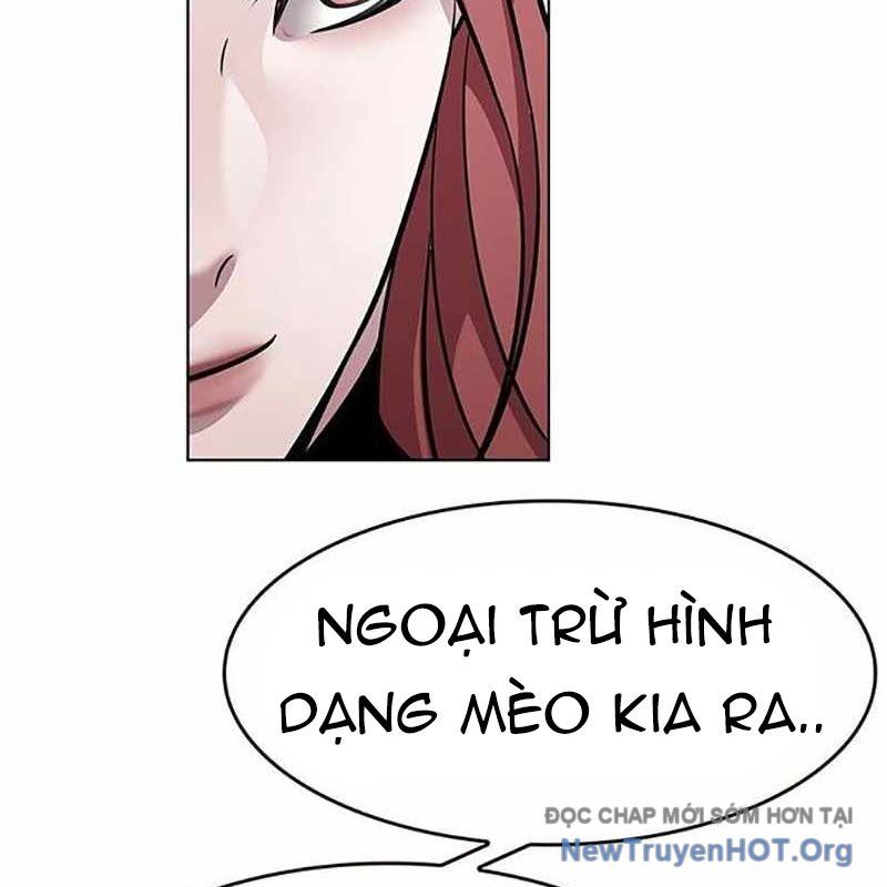 Hoá Thân Thành Mèo Chapter 366 - Trang 2